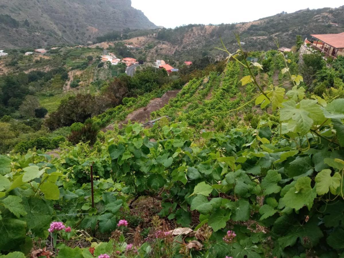 Casa Rural Quilla Agulo Zewnętrze zdjęcie